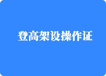 骚逼逼操你好爽操我逼逼视频登高架设操作证